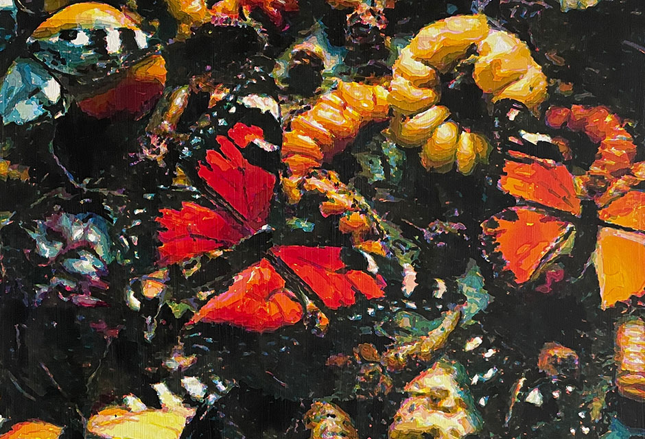 Transformation Transformation